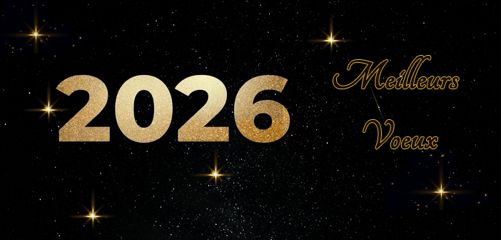 Meilleurs Voeux 2026